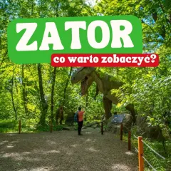 W Zatorze czeka na Ciebie prehistoryczna przygoda! Zobacz modele dinozaurów w lesie i odkryj, co warto zobaczyć.