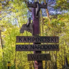Drewniany drogowskaz wita w Kampinoskim Parku Narodowym. Ciekawe miejsca czekają!