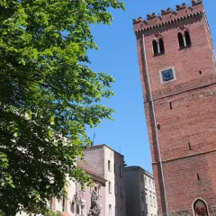 Wieża ratuszowa w Ząbkowicach Śląskich góruje nad kolorowymi kamienicami. Zielone drzewo rzuca cień na plac.