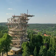 Imponująca wieża sky walk wznosi się ponad zielonym lasem, oferując wspaniałe widoki na okolicę.