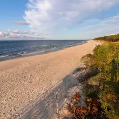 Piękna plaża w Mrzeżynie, idealne miejsce na relaks. W oddali widać spacerujących ludzi, a brzeg morza otacza sosnowy las. Mrzeżyno atrakcje to przede wszystkim wypoczynek nad Bałtykiem.