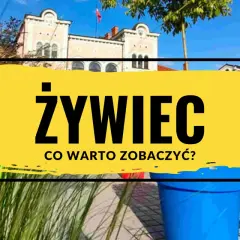 Żywiec: odkryj jego atrakcje! Słoneczny dzień, piękne budynki i zieleń zapraszają do zwiedzania.