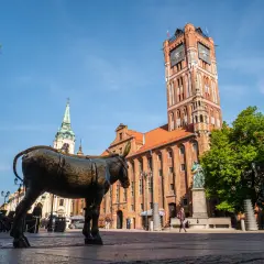 Pomnik osiołka na Rynku Staromiejskim w Toruniu, z Ratuszem i kościołem w tle. Jedna z wielu toruńskich atrakcji.