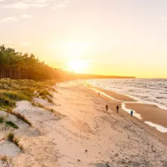 Zachód słońca nad morzem, z piaszczystą plażą, wydmami porośniętymi trawą i lasem sosnowym. Spacerujący ludzie cieszą się pięknem przyrody.