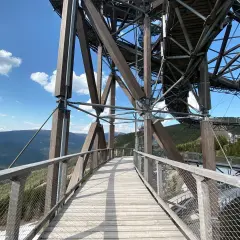 Drewniany sky bridge wznosi się nad górami, oferując widok na lasy i błękitne niebo z chmurami.