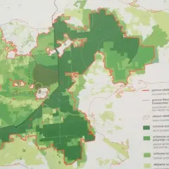 Mapa Puszczy Białowieskiej z zaznaczonymi strefami ochrony. Atrakcje przyrodnicze i historyczne, jak Dąb Jagiełły, są widoczne na powiększeniu.