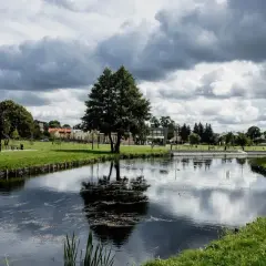 Spokojny park miejski w Suwałkach z jeziorem, drzewami i budynkami w tle. Idealne miejsce na relaks i odkrywanie suwalskich atrakcji.
