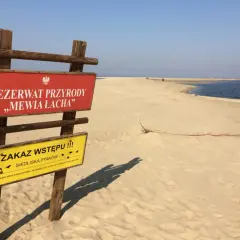 Wyspa Sobieszewska atrakcje: tablica informacyjna rezerwatu przyrody Mewia Łacha, zakaz wstępu dla ochrony ptaków.