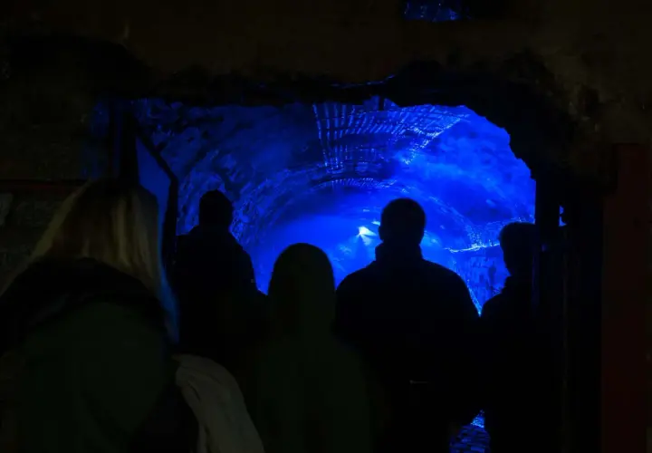 Grupa ludzi wchodzi do mrocznego tunelu oświetlonego intensywnym niebieskim światłem. To tajemnicze sztolnie Kowary, gdzie historia miesza się z magią.