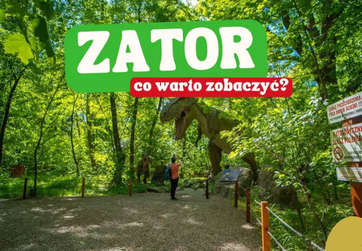W Zatorze czeka na Ciebie prehistoryczna przygoda! Zobacz modele dinozaurów w lesie i odkryj, co warto zobaczyć.