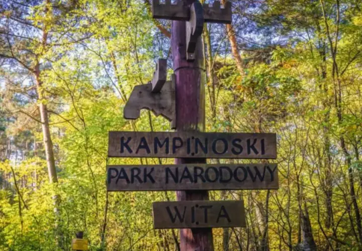 Drewniany drogowskaz wita w Kampinoskim Parku Narodowym. Ciekawe miejsca czekają!