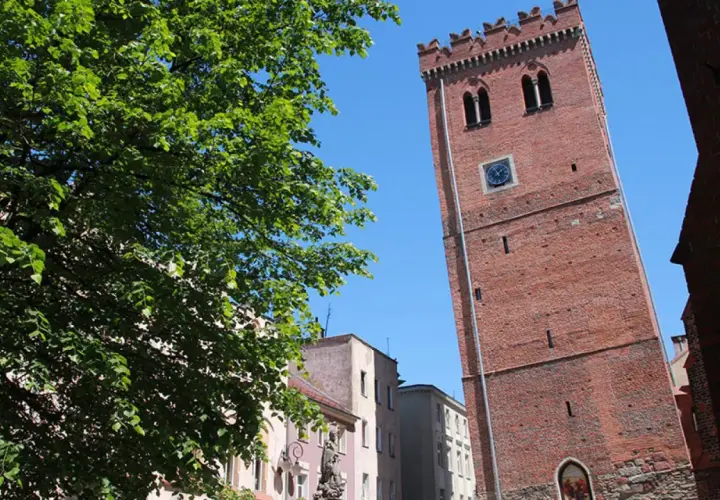 Wieża ratuszowa w Ząbkowicach Śląskich góruje nad kolorowymi kamienicami. Zielone drzewo rzuca cień na plac.