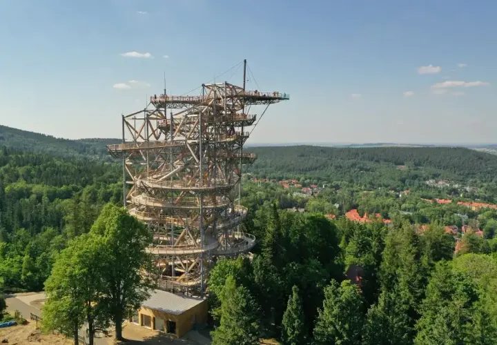 Imponująca wieża sky walk wznosi się ponad zielonym lasem, oferując wspaniałe widoki na okolicę.