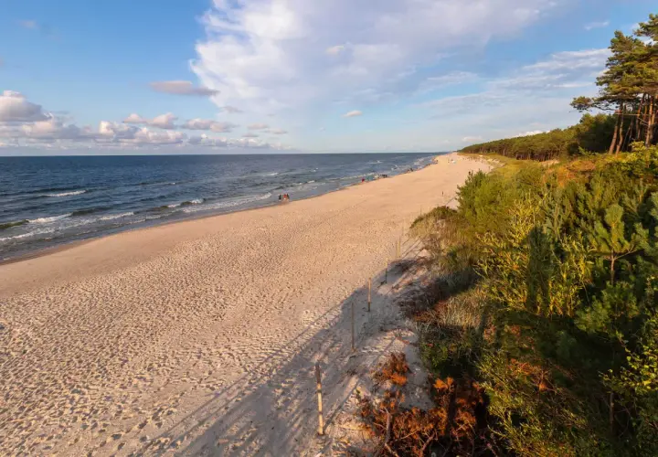 Piękna plaża w Mrzeżynie, idealne miejsce na relaks. W oddali widać spacerujących ludzi, a brzeg morza otacza sosnowy las. Mrzeżyno atrakcje to przede wszystkim wypoczynek nad Bałtykiem.