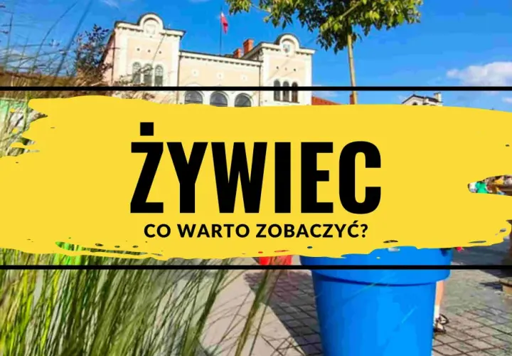 Żywiec: odkryj jego atrakcje! Słoneczny dzień, piękne budynki i zieleń zapraszają do zwiedzania.