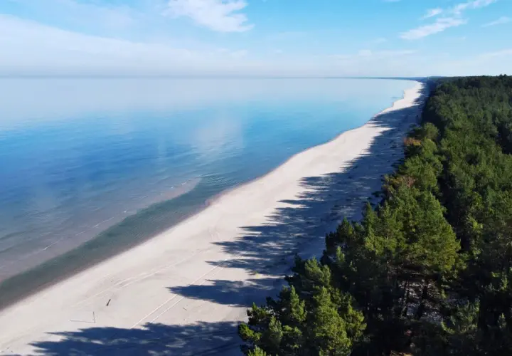 Szeroka, piaszczysta plaża i las sosnowy na Mierzei Wiślanej. Idealne miejsce na relaks i odkrywanie przyrodniczych atrakcji.
