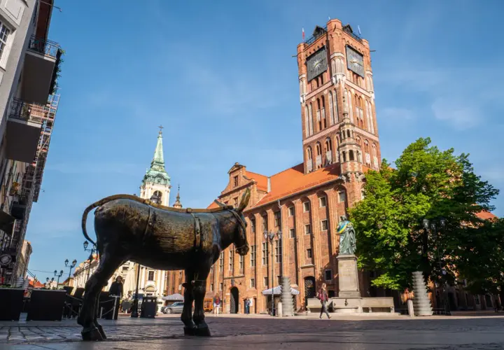 Pomnik osiołka na Rynku Staromiejskim w Toruniu, z Ratuszem i kościołem w tle. Jedna z wielu toruńskich atrakcji.