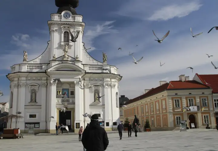 Wadowice atrakcje: plac z Bazyliką Ofiarowania NMP, nad którym krążą gołębie.
