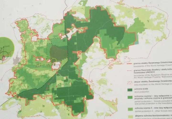 Mapa Puszczy Białowieskiej z zaznaczonymi strefami ochrony. Atrakcje przyrodnicze i historyczne, jak Dąb Jagiełły, są widoczne na powiększeniu.