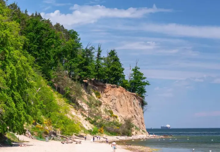 Piękny dzień nad polskim morzem. Klif porośnięty drzewami, piaszczysta plaża z kilkoma spacerującymi ludźmi i statkiem na horyzoncie.