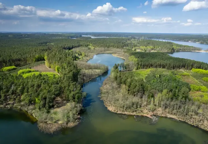 Malownicze jeziora i lasy tworzą piękny krajobraz pojezierza brodnickiego.