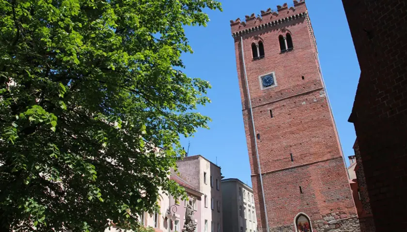 Wieża ratuszowa w Ząbkowicach Śląskich góruje nad kolorowymi kamienicami. Zielone drzewo rzuca cień na plac.