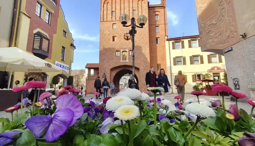 Kwiaty na pierwszym planie, w tle ceglana wieża i kolorowe kamienice. Olsztyn atrakcje zachęcają do spaceru.