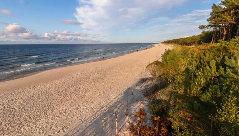 Piękna plaża w Mrzeżynie, idealne miejsce na relaks. W oddali widać spacerujących ludzi, a brzeg morza otacza sosnowy las. Mrzeżyno atrakcje to przede wszystkim wypoczynek nad Bałtykiem.