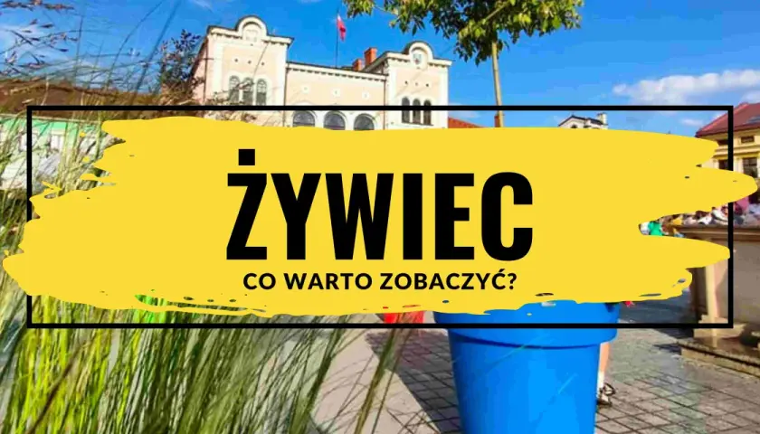 Żywiec: odkryj jego atrakcje! Słoneczny dzień, piękne budynki i zieleń zapraszają do zwiedzania.