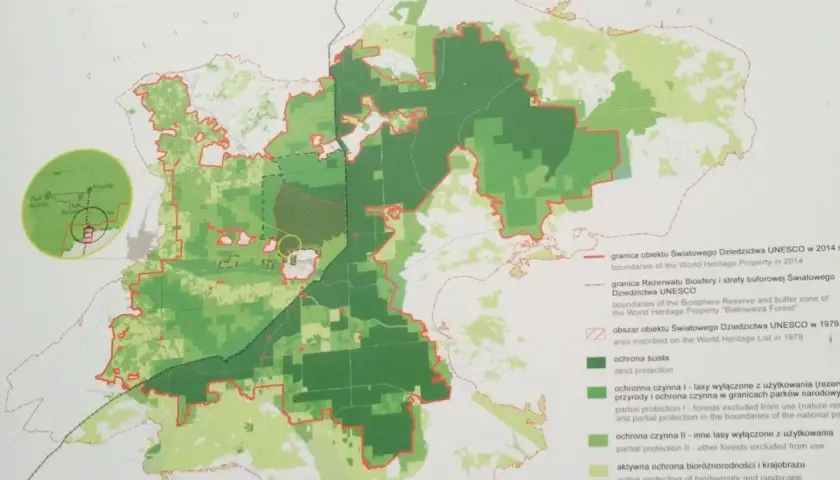 Mapa Puszczy Białowieskiej z zaznaczonymi strefami ochrony. Atrakcje przyrodnicze i historyczne, jak Dąb Jagiełły, są widoczne na powiększeniu.
