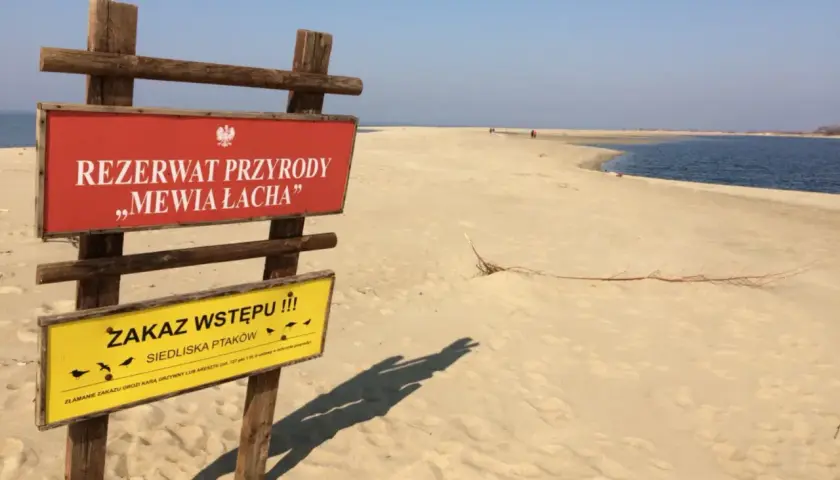 Wyspa Sobieszewska atrakcje: tablica informacyjna rezerwatu przyrody Mewia Łacha, zakaz wstępu dla ochrony ptaków.