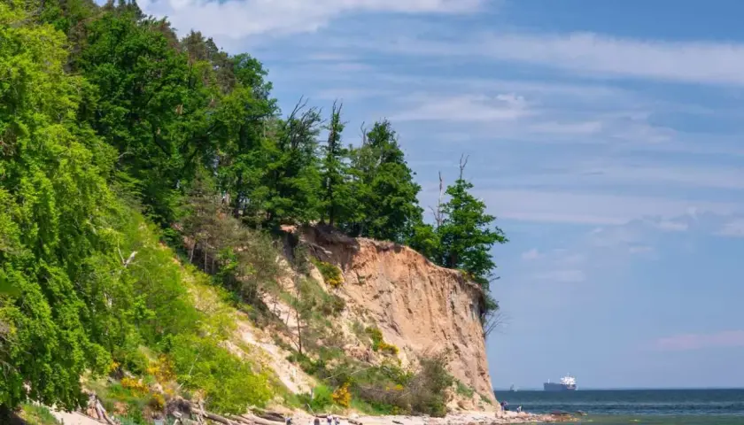 Piękny dzień nad polskim morzem. Klif porośnięty drzewami, piaszczysta plaża z kilkoma spacerującymi ludźmi i statkiem na horyzoncie.