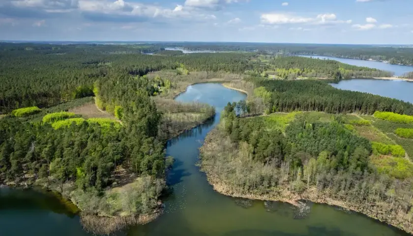 Malownicze jeziora i lasy tworzą piękny krajobraz pojezierza brodnickiego.