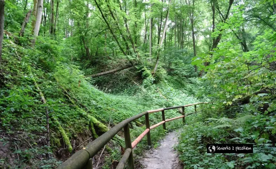 Nałęczów pieszo - park, muzea i wąwozy bez pośpiechu