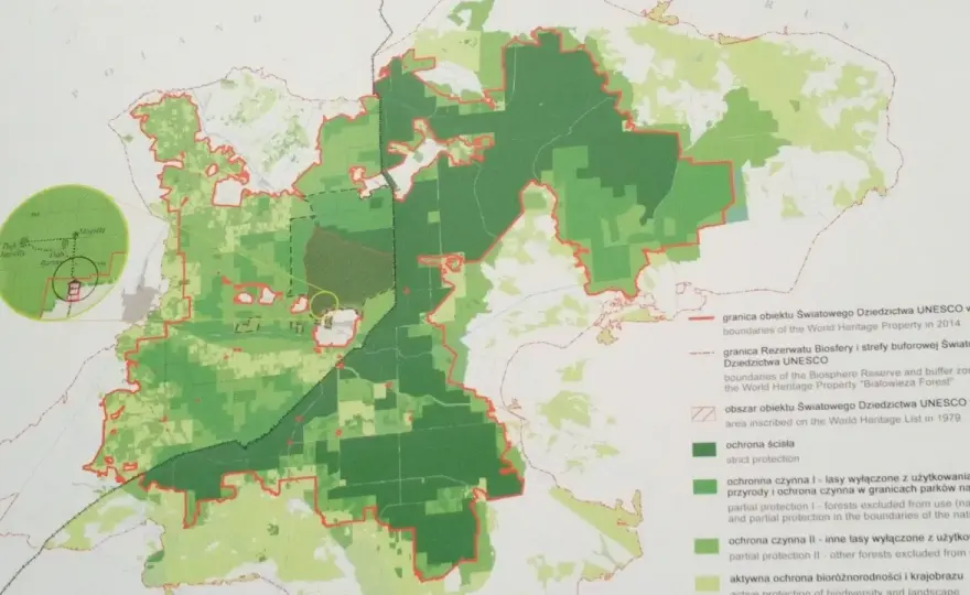 Białowieża - atrakcje, szlaki i plan zwiedzania