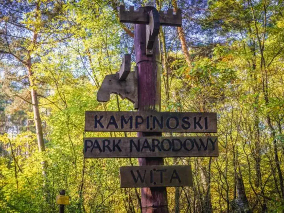 Drewniany drogowskaz wita w Kampinoskim Parku Narodowym. Ciekawe miejsca czekają!
