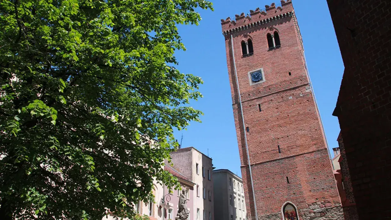Wieża ratuszowa w Ząbkowicach Śląskich góruje nad kolorowymi kamienicami. Zielone drzewo rzuca cień na plac.