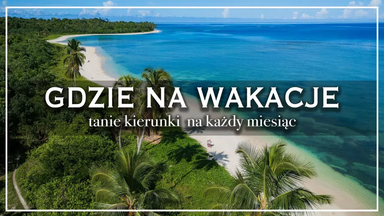 Rajska plaża z palmami i turkusową wodą. Gdzie na wakacje? Tanie kierunki na każdy miesiąc.