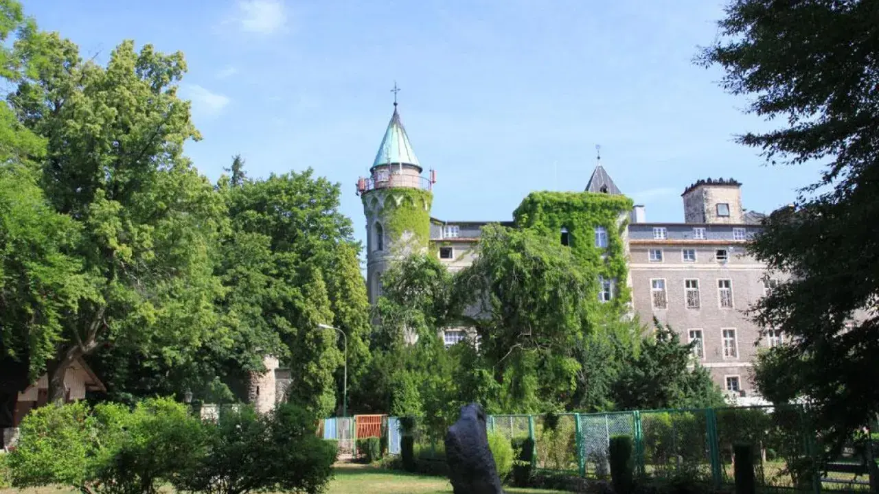 Zamek porośnięty bluszczem, z wieżą i zielonymi drzewami. Szczytna atrakcje turystyczne, które warto odkryć.