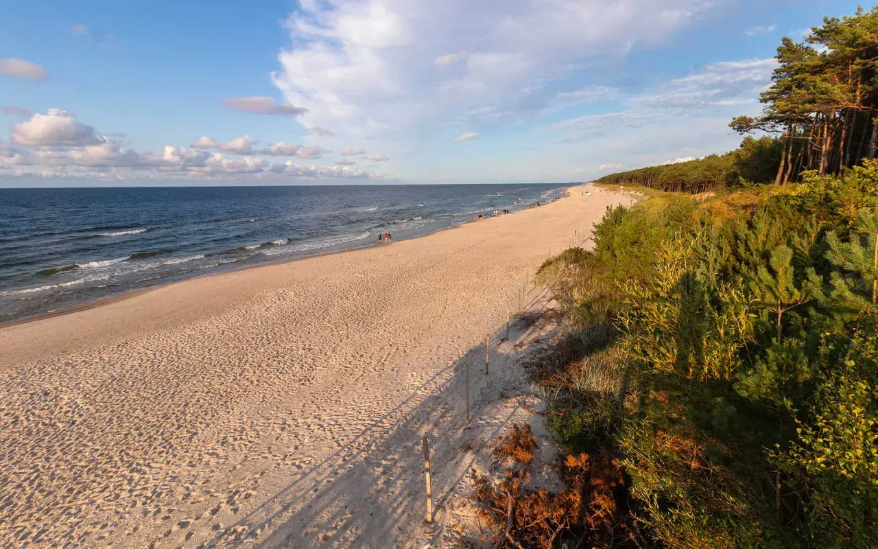 Piękna plaża w Mrzeżynie, idealne miejsce na relaks. W oddali widać spacerujących ludzi, a brzeg morza otacza sosnowy las. Mrzeżyno atrakcje to przede wszystkim wypoczynek nad Bałtykiem.