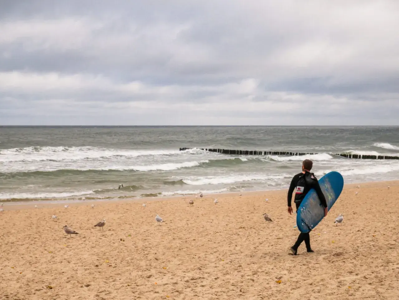 Surfer z deską na plaży w Juracie, szuka fal. W tle morze i mewy. Jedna z atrakcji nad polskim morzem.