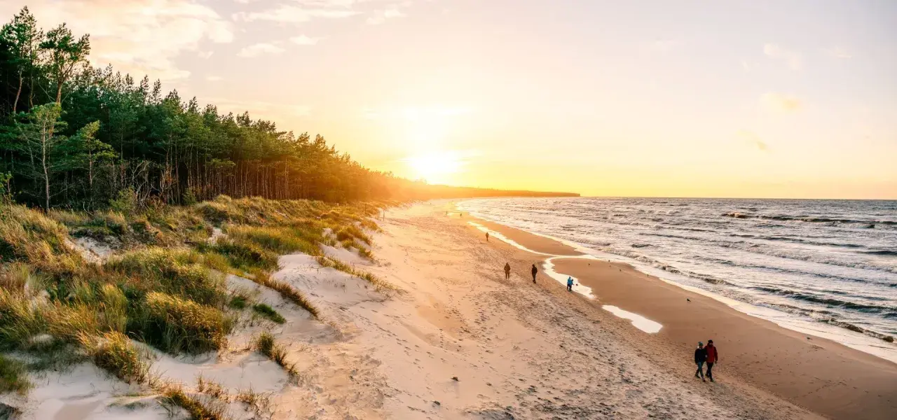 Zachód słońca nad morzem, z piaszczystą plażą, wydmami porośniętymi trawą i lasem sosnowym. Spacerujący ludzie cieszą się pięknem przyrody.