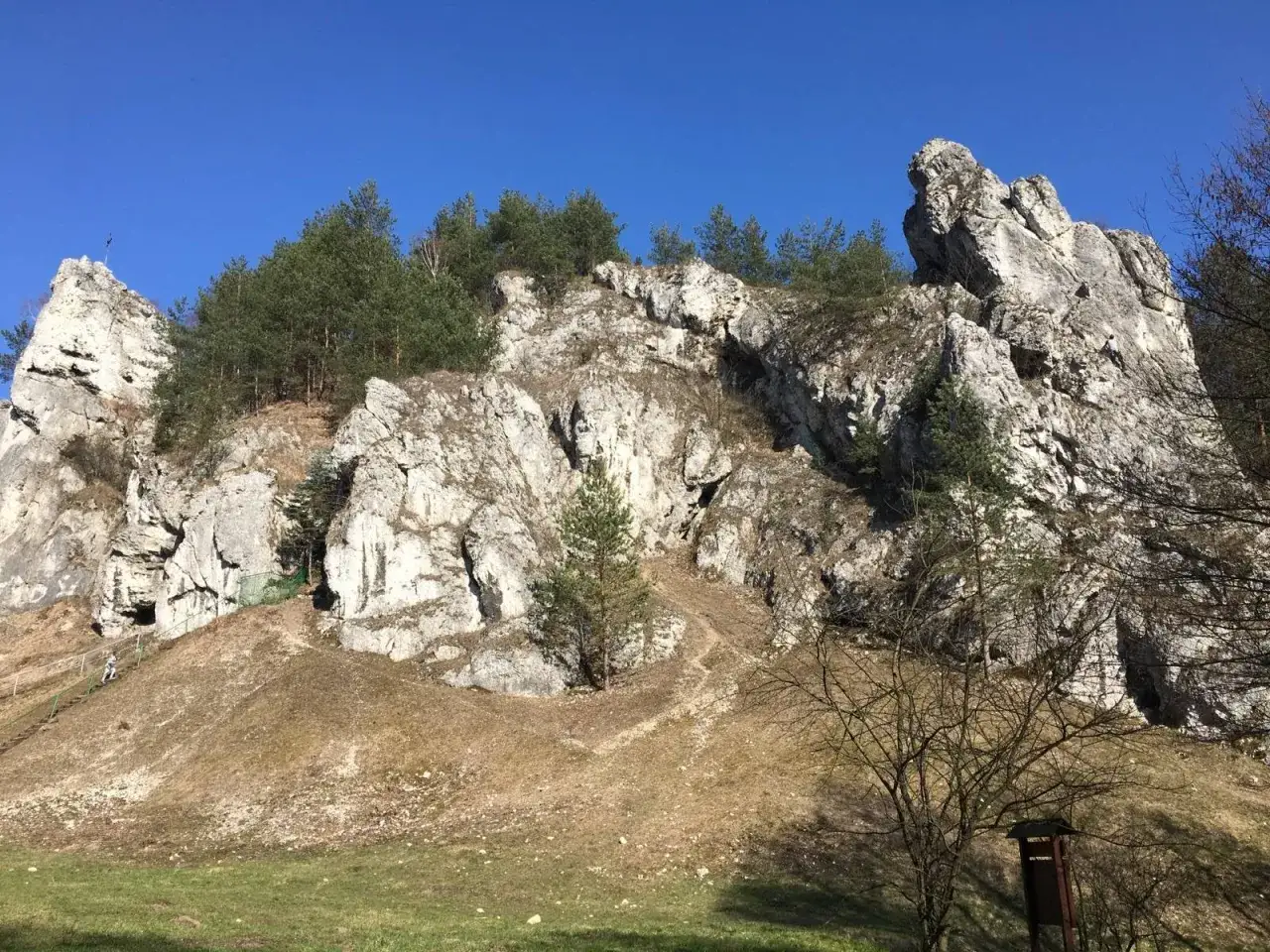Skały wapienne w Dolinie Kobylańskiej, porośnięte sosnami, z widocznymi ścieżkami i schodami dla turyst&oacute;w.