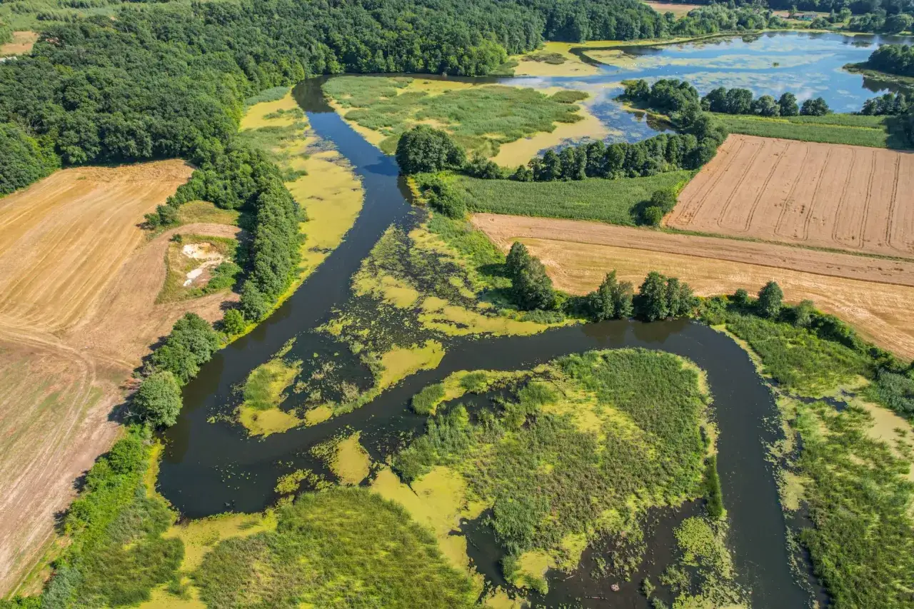 Malownicze zakole rzeki wśród pól i lasów. To jedne z tych ciekawych miejsc na Mazowszu, gdzie natura wciąż króluje.