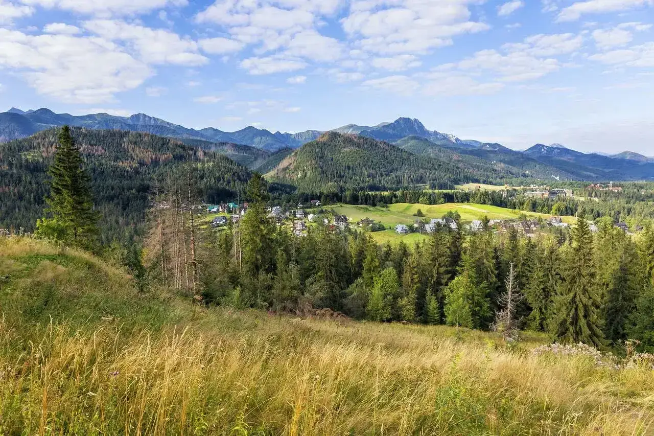 Widok na Poronin i Tatry. W oddali widać zabudowania i góry, a na pierwszym planie łąkę i las. Poronin atrakcje to piękne krajobrazy.