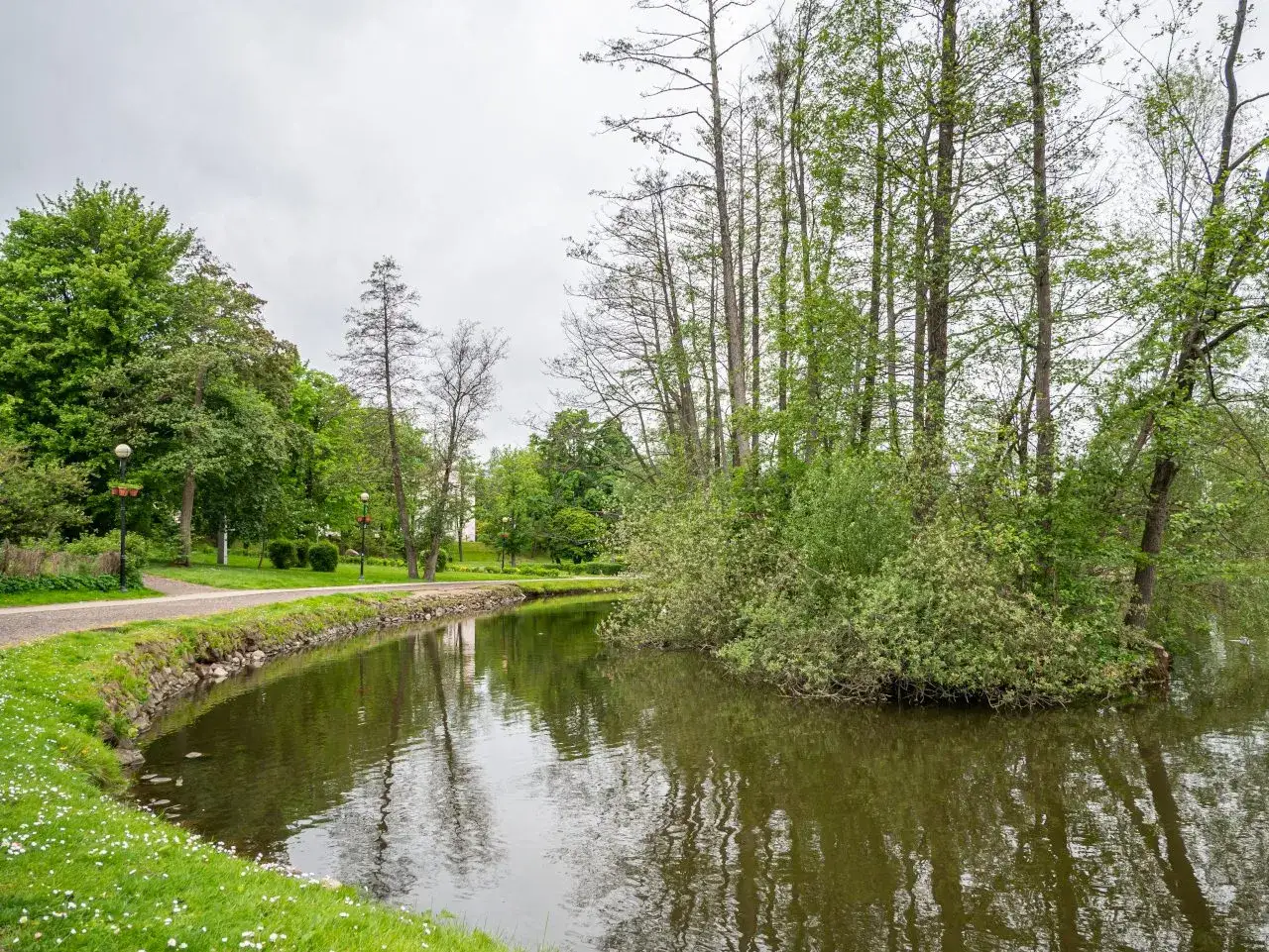 Malowniczy park w Mrągowie, z alejkami, stawem i bujną zielenią. Idealne miejsce na spacer i podziwianie przyrody. Mrągowo atrakcje.