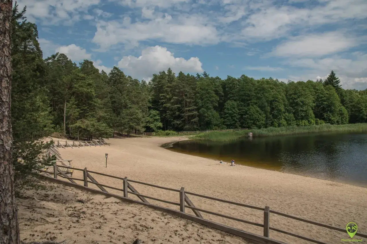 Plaża nad jeziorem, otoczona lasem. Idealne miejsce na wypoczynek, odkryj roztocze atrakcje!