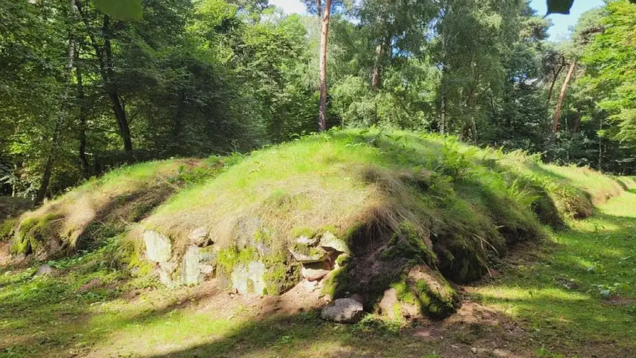 Zielone, porośnięte trawą i mchem kopce, przypominające małe piramidy w Polsce, ukryte w leśnym otoczeniu.