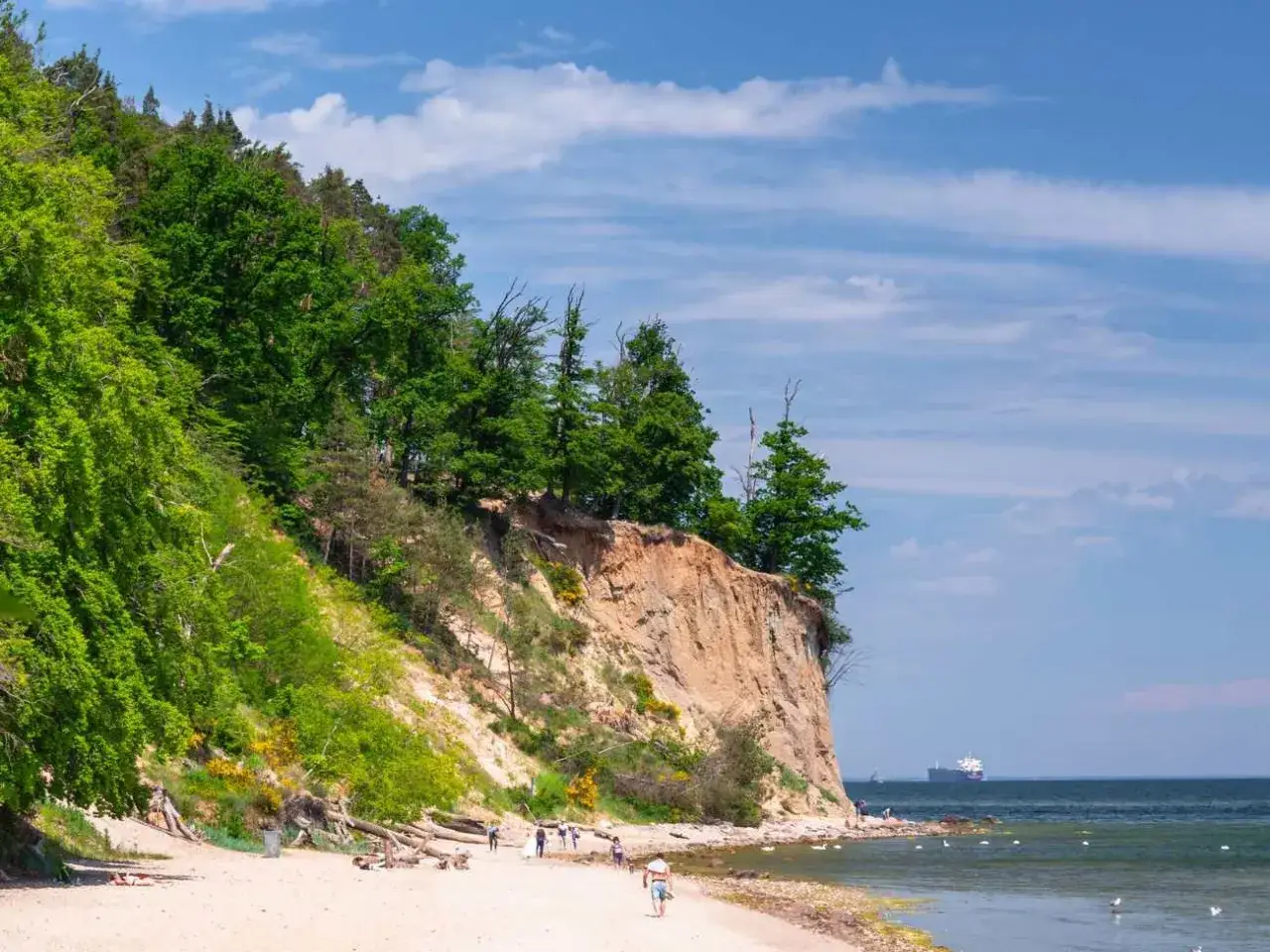 Piękna plaża z klifem i lasem, idealne atrakcje nad morzem. W oddali widać statek.