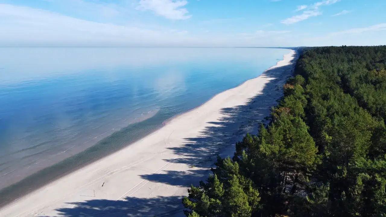 Mierzeja Wiślana atrakcje: rozległa plaża i las sosnowy nad spokojnym morzem. Idealne miejsce na relaks i podziwianie natury.